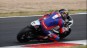 '2611. # 96 Tim-Luca